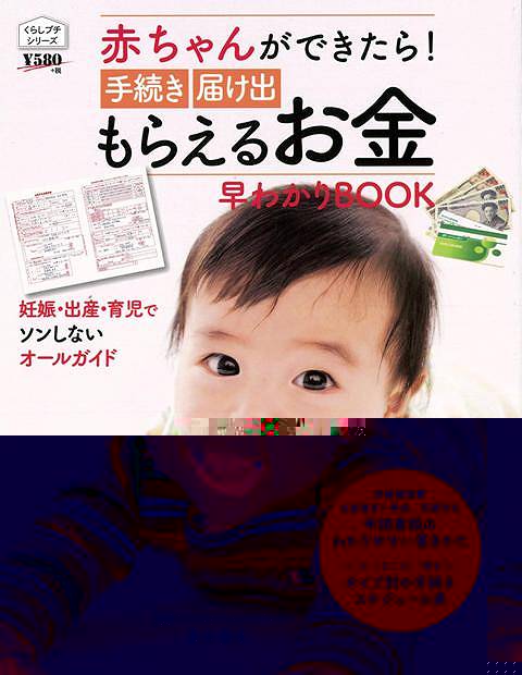 赤ちゃんができたら！手続き届け出もらえるお金早わかりＢＯＯＫ