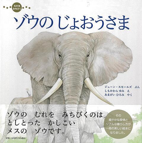ゾウのじょおうさま−むれをみちびく
