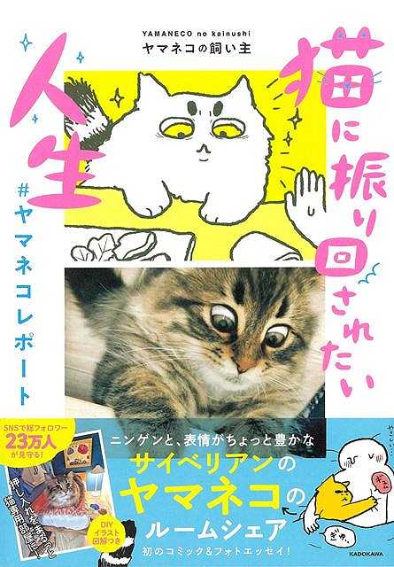 猫に振り回されたい人生　♯ヤマネコレポート