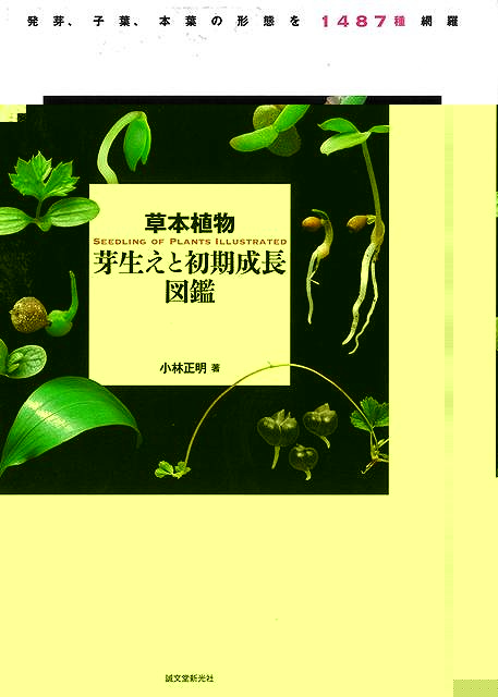 草本植物　芽生えと初期成長図鑑−発芽、子葉、本葉の形態を１４８７種網羅