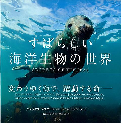 すばらしい海洋生物の世界