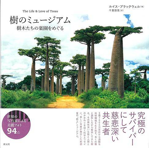 樹のミュージアム−樹木たちの楽園をめぐる