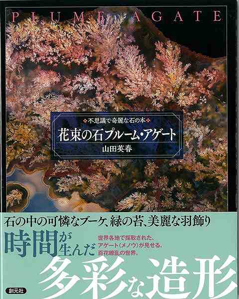 花束の石プルーム・アゲート−不思議で奇麗な石の本