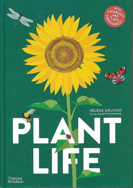 ＰＬＡＮＴ　ＬＩＦＥ