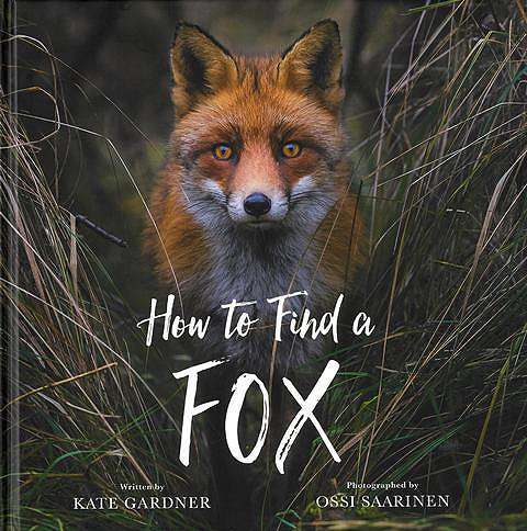 Ｈｏｗ　ｔｏ　Ｆｉｎｄ　ａ　ＦＯＸ
