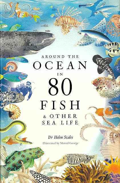 ＡＲＯＵＮＤ　ＴＨＥ　ＯＣＥＡＮ　ＩＮ　８０　ＦＩＳＨ　＆　ＯＴＨＥＲ　ＳＥＡ　ＬＩＦＥ