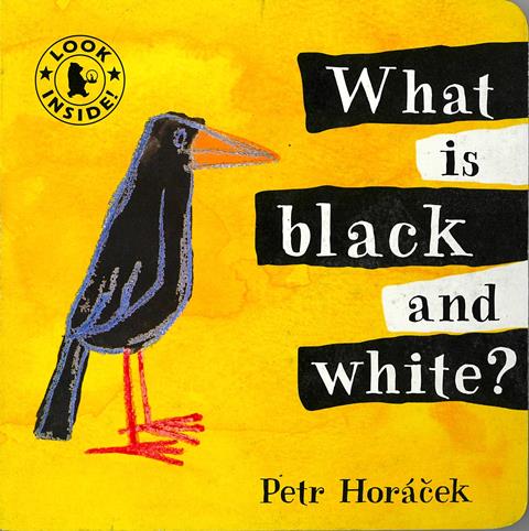 Ｗｈａｔ　ｉｓ　ｂｌａｃｋ　ａｎｄ　ｗｈｉｔｅ？
