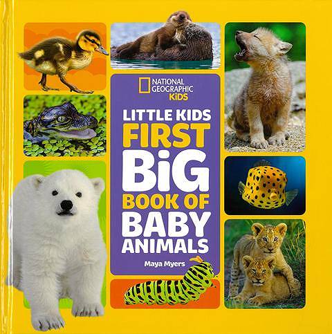 ＬＩＴＴＬＥ　ＫＩＤＳ　ＦＩＲＳＴ　ＢＩＧ　ＢＯＯＫ　ＯＦ　ＢＡＢＹ　ＡＮＩＭＡＬＳ